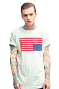 American Flag Reversed